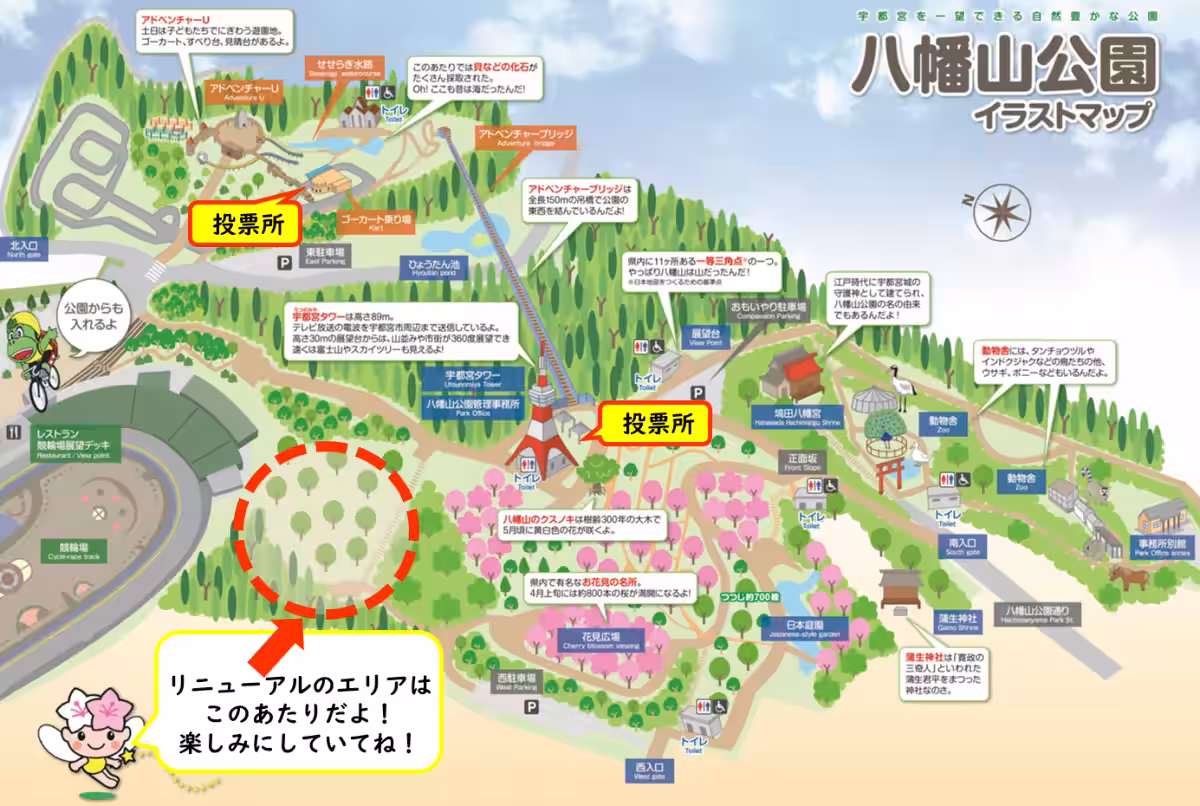 画像5