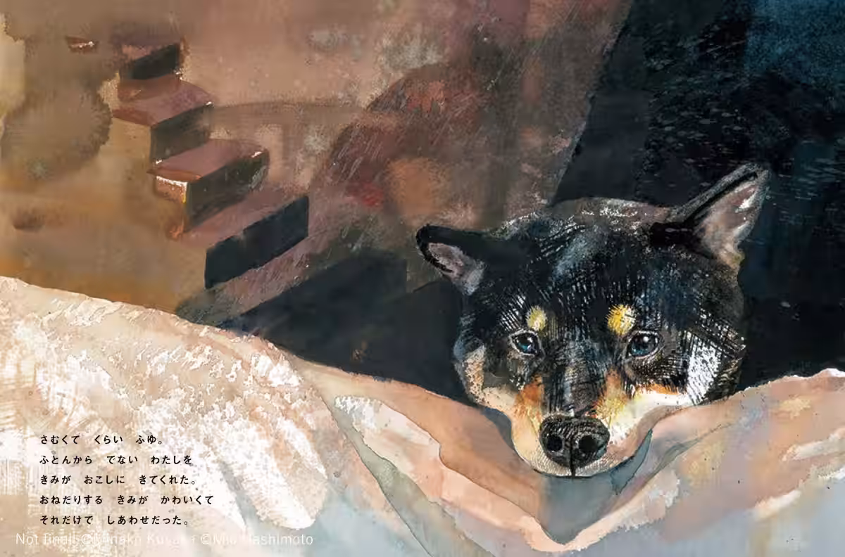 画像11