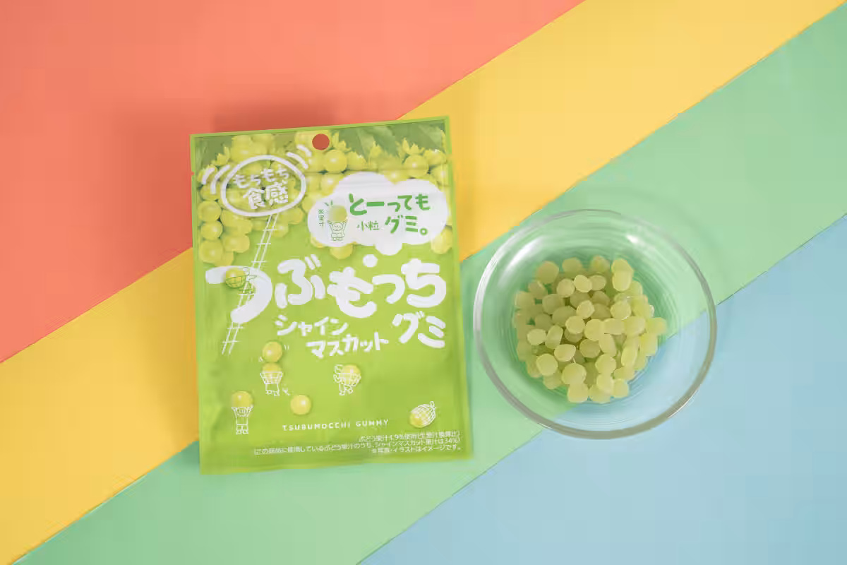 画像6