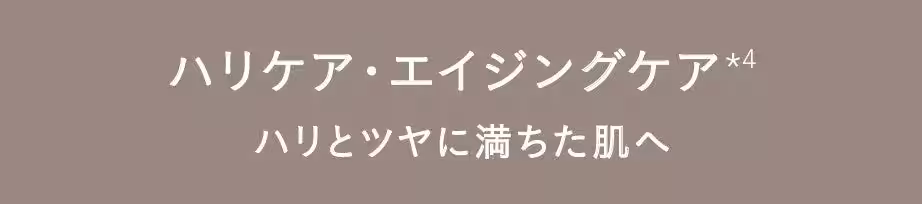 画像15