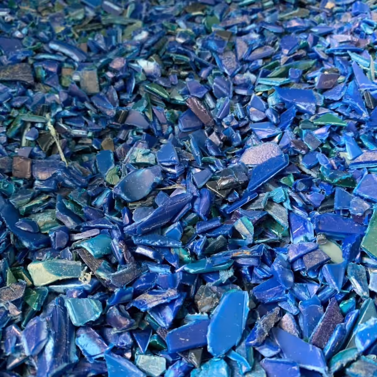 画像12