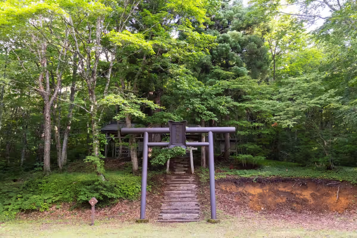 画像3