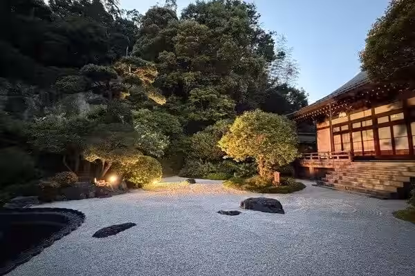 画像8