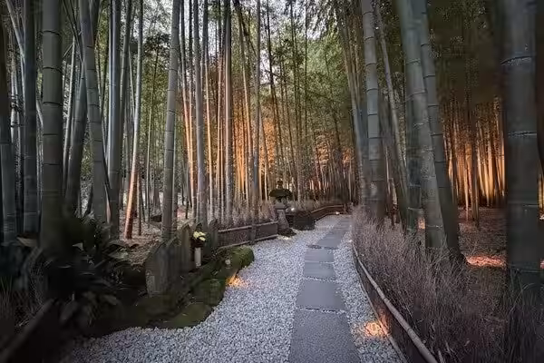 画像11