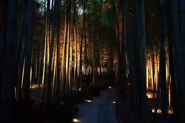 画像10
