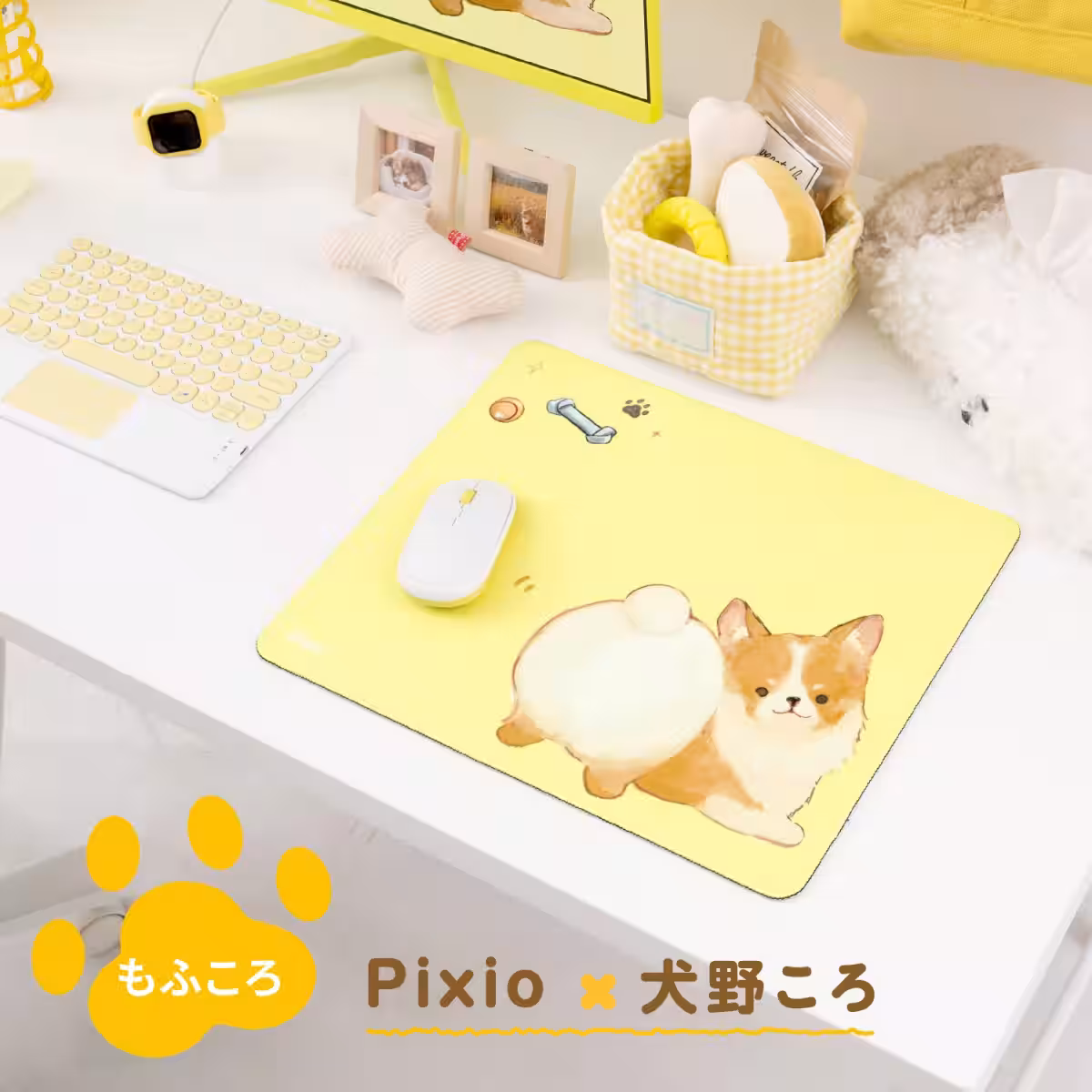 画像7