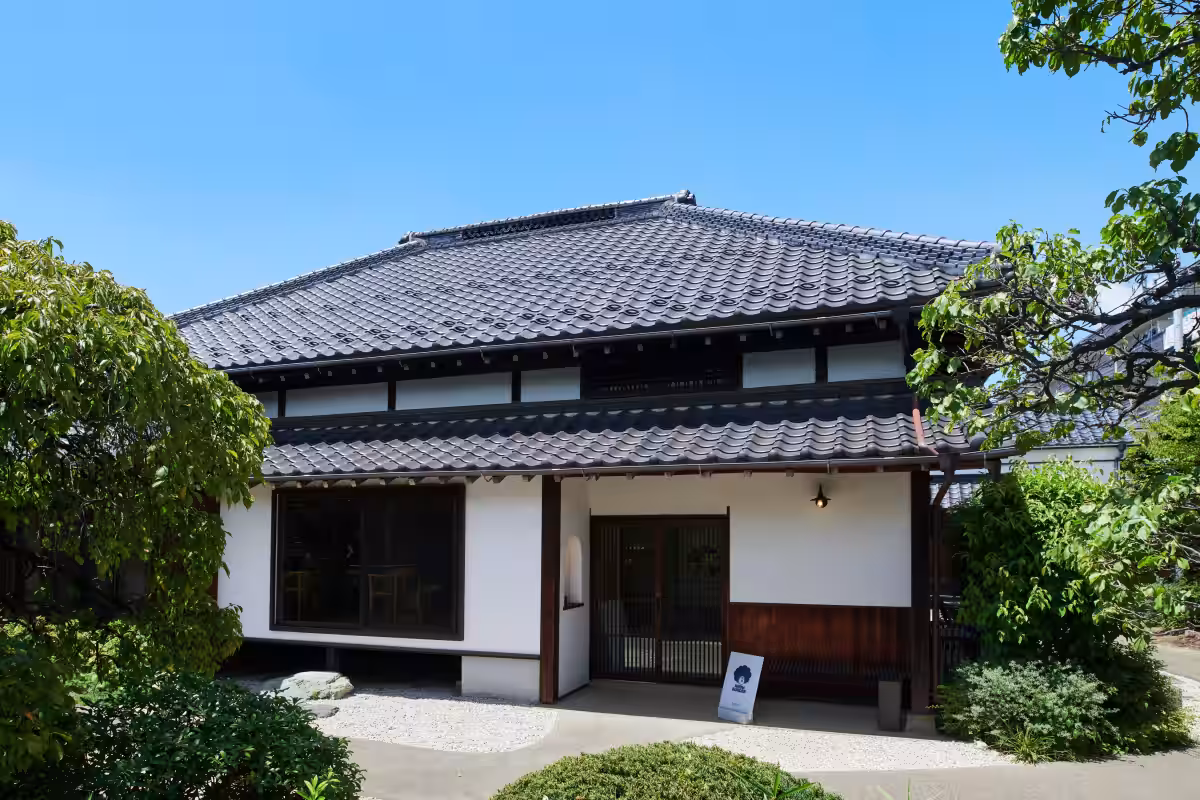 画像6