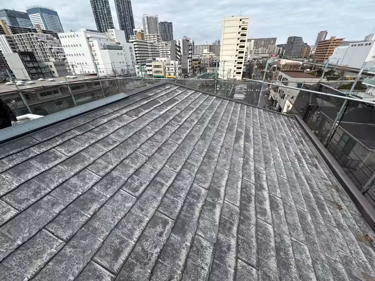 画像14