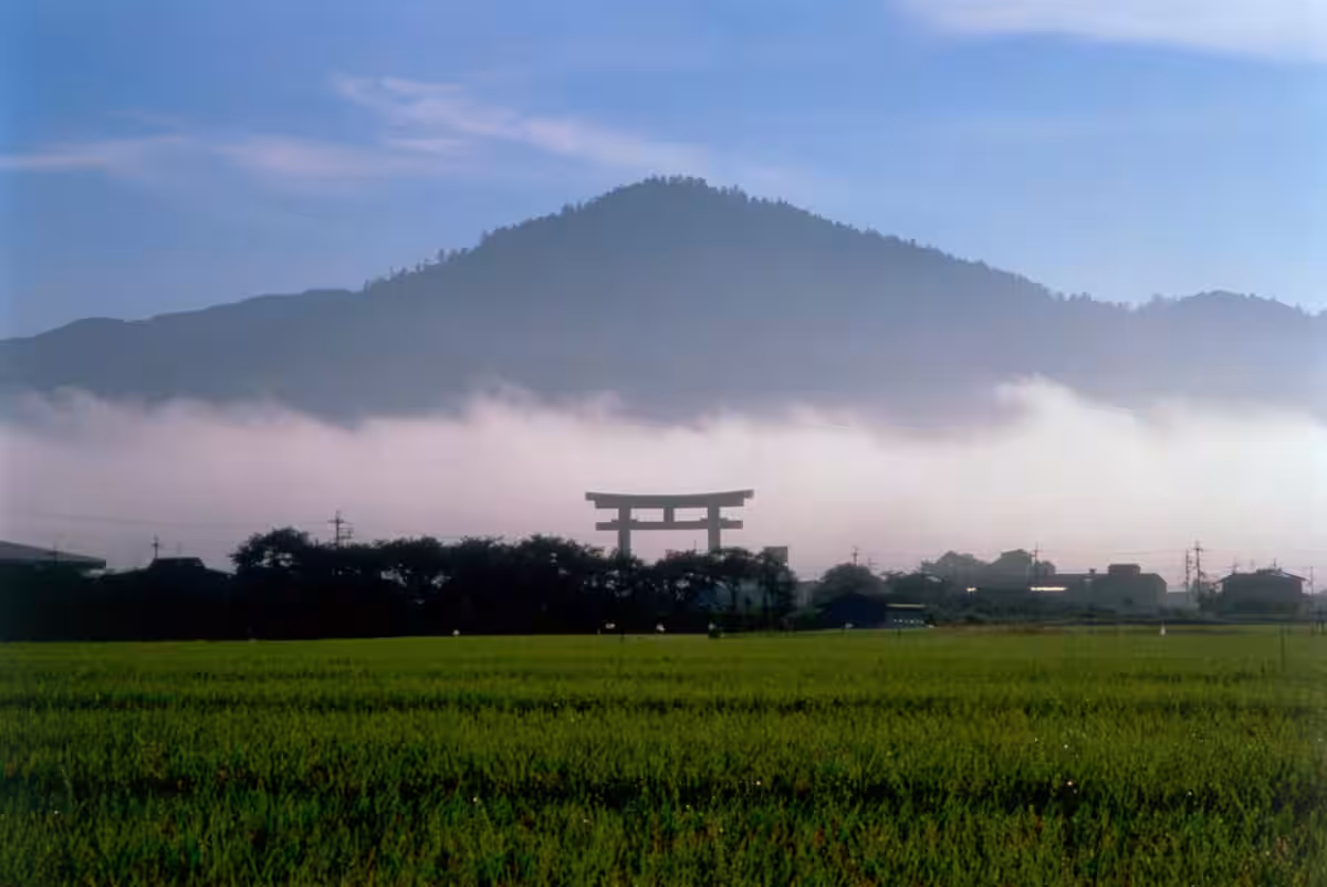 画像11