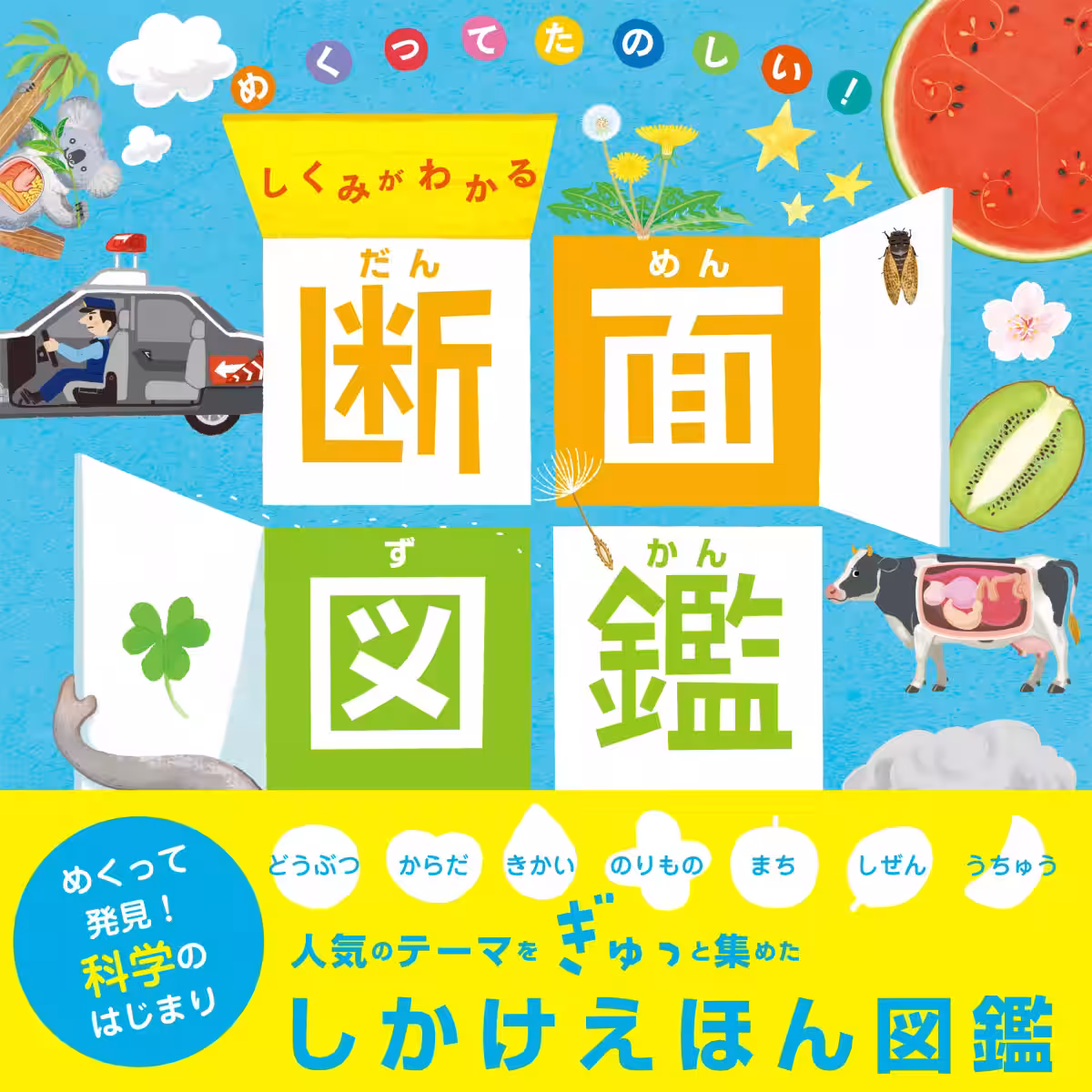 画像5
