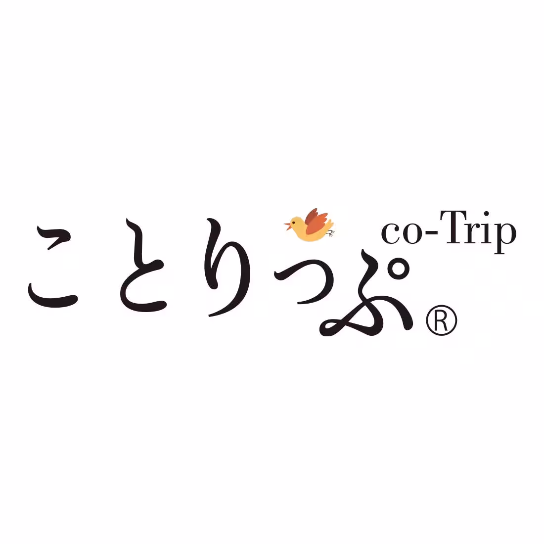 画像12