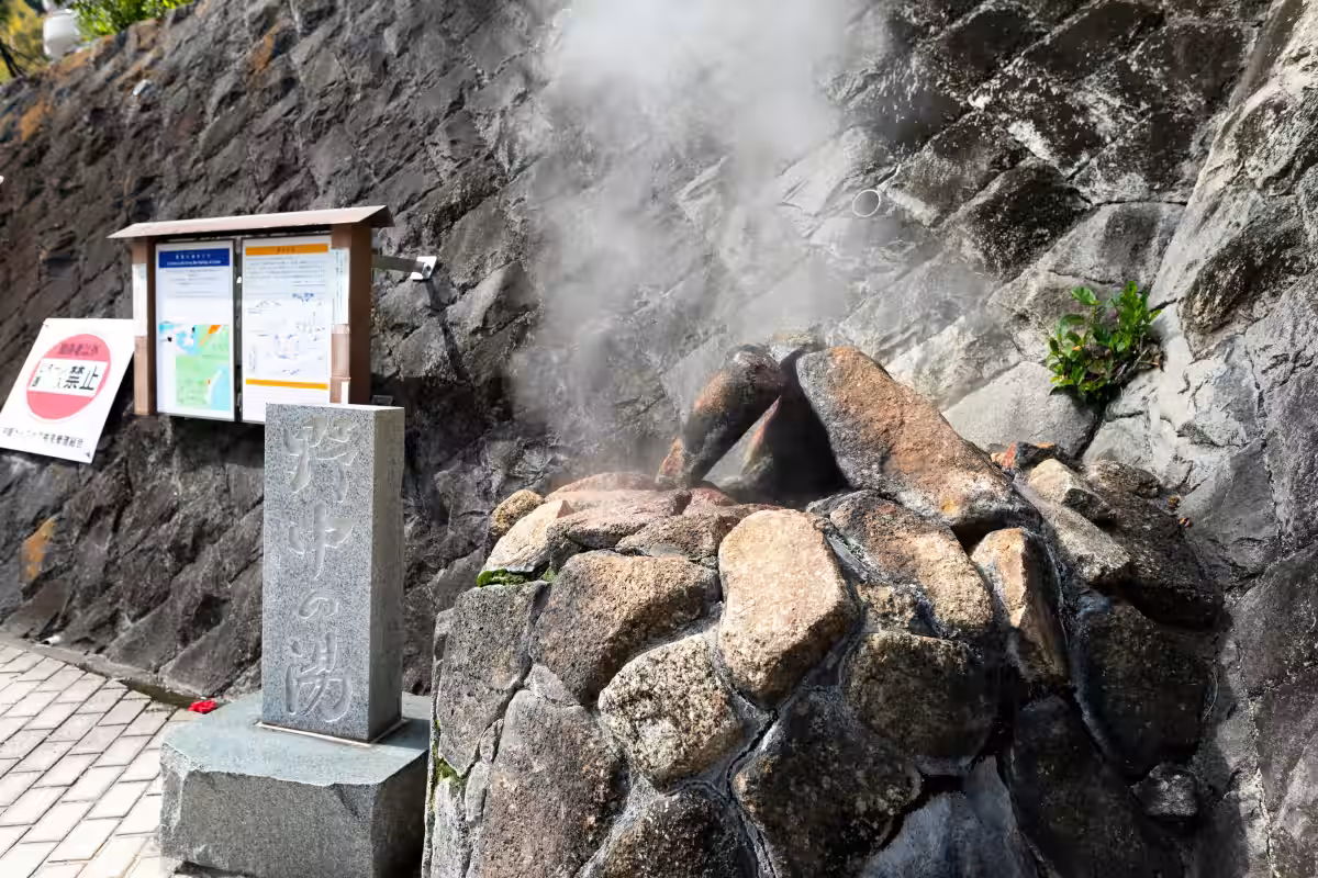 画像12