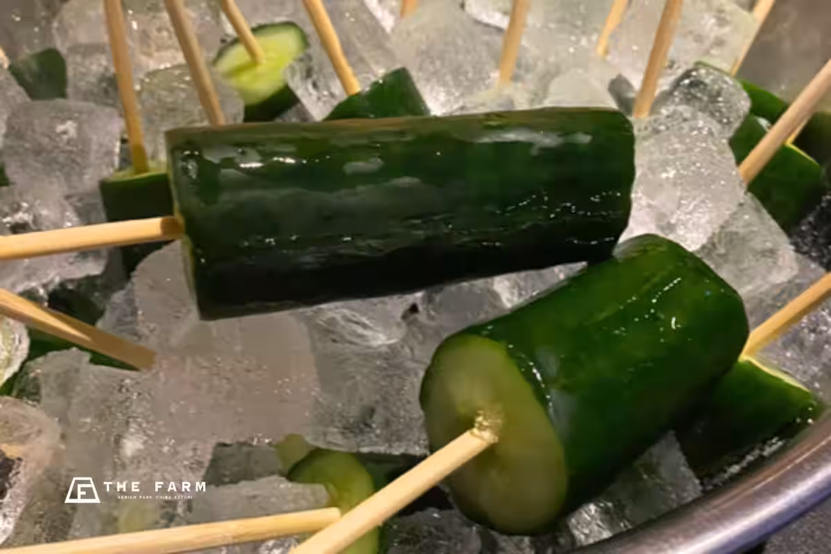 画像11