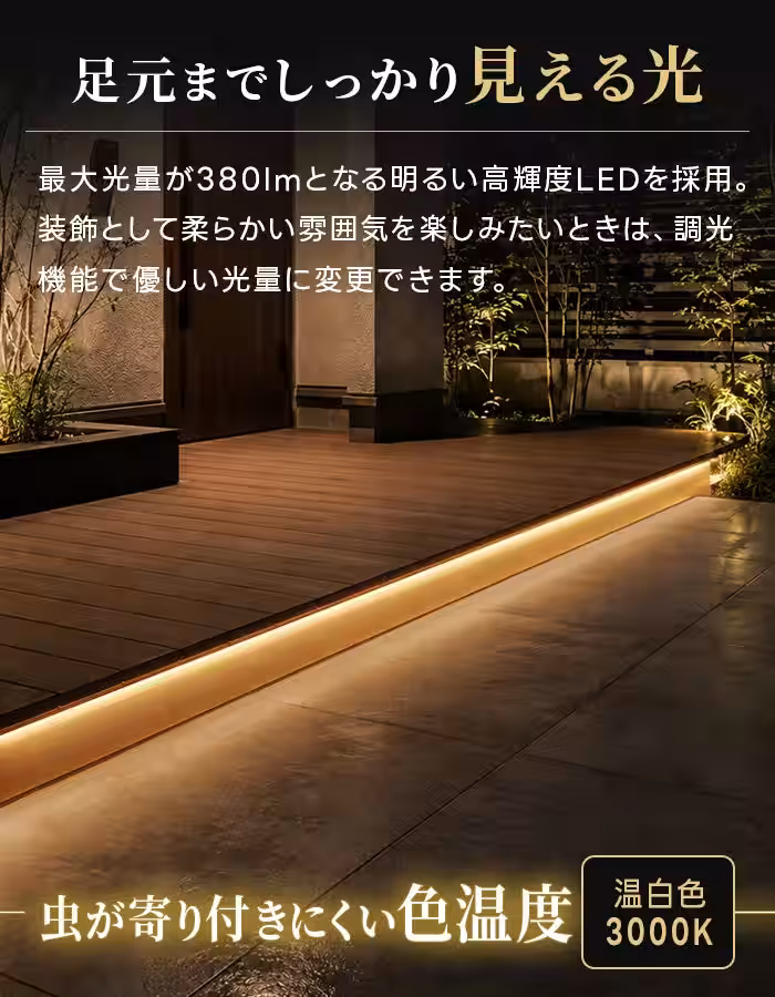 画像14