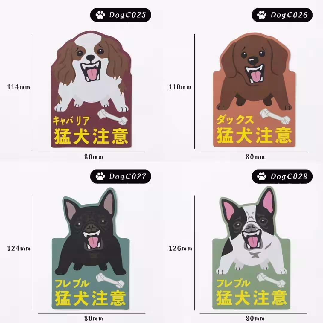 画像11