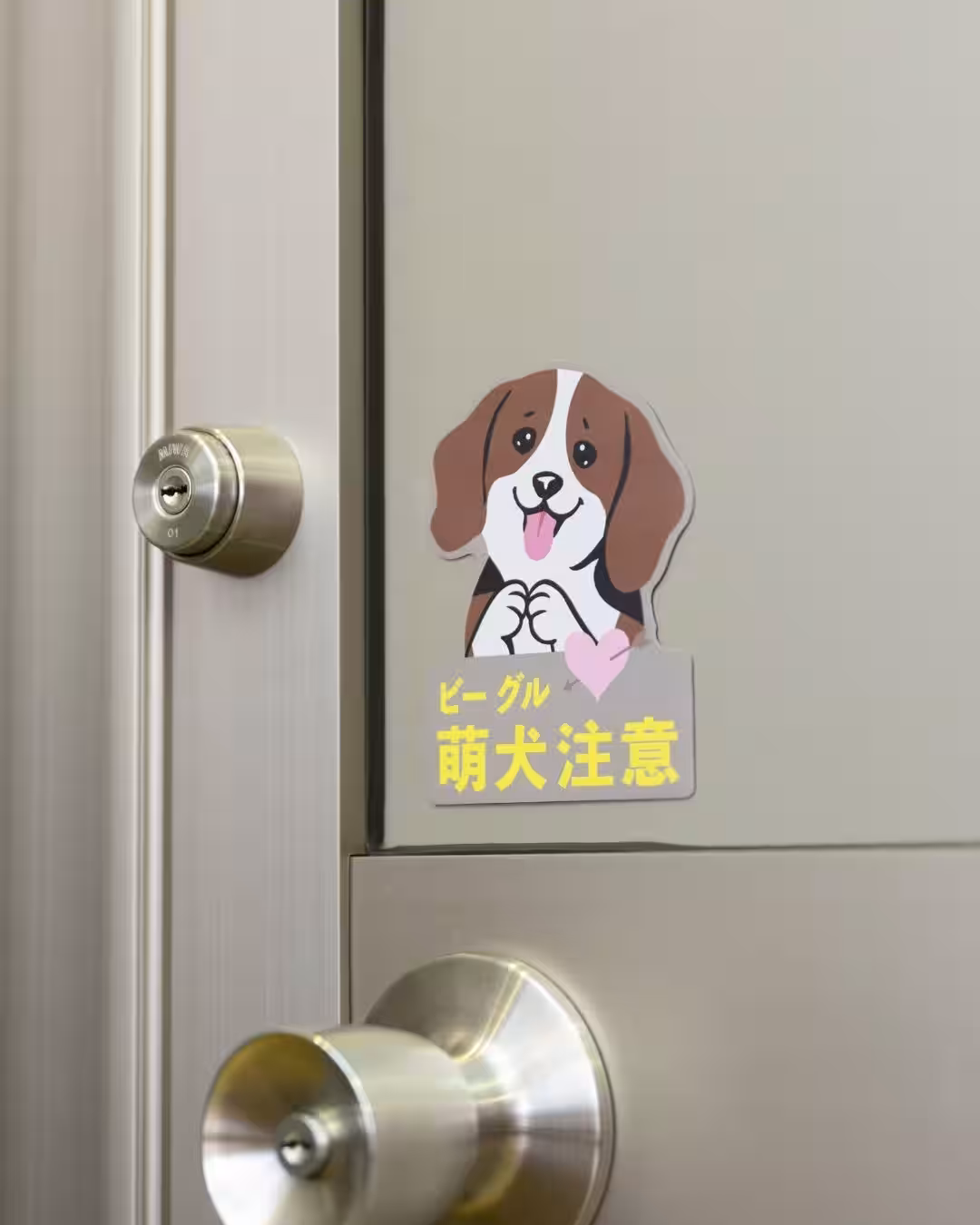 画像17