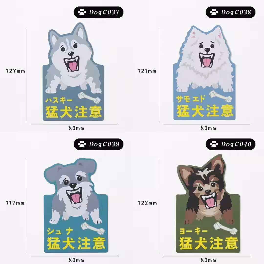 画像14