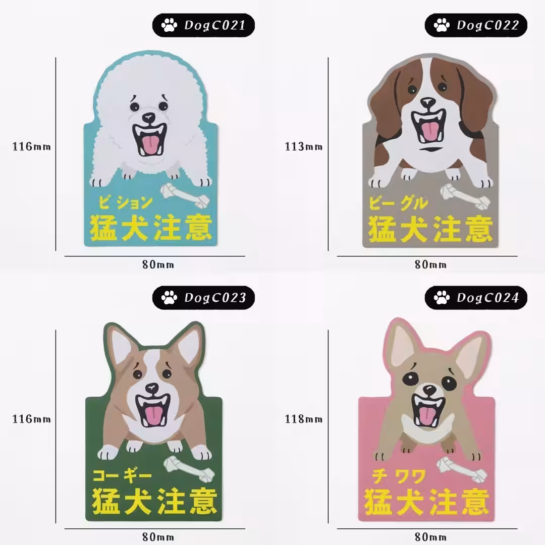 画像10
