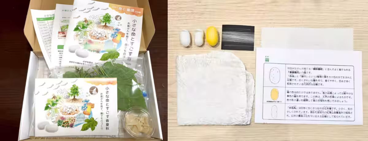 画像3