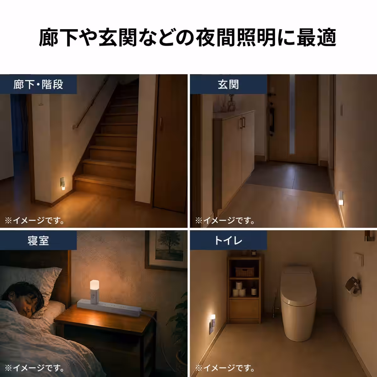 画像12