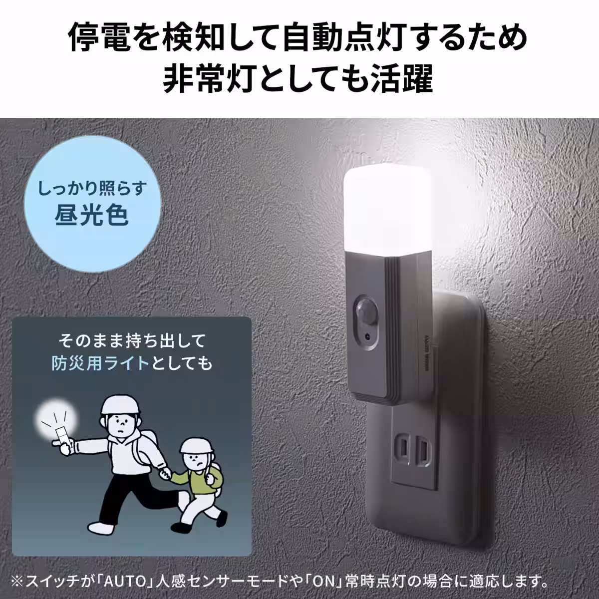 画像15