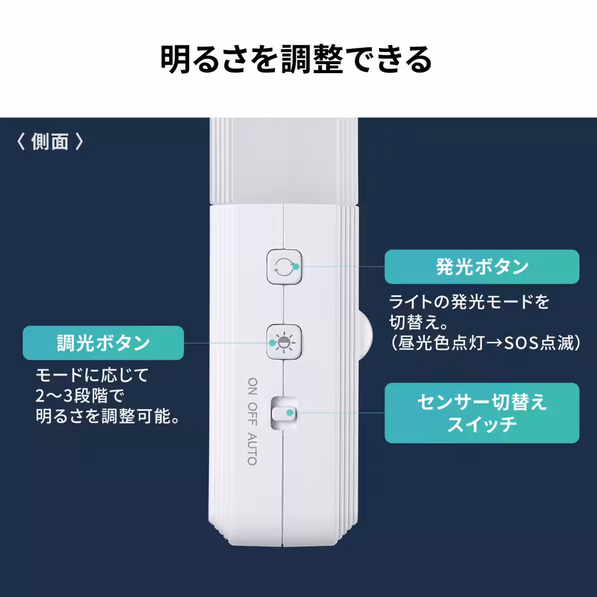 画像16