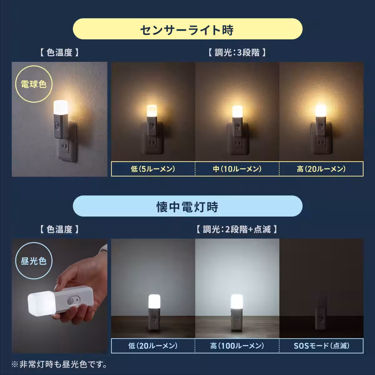画像17