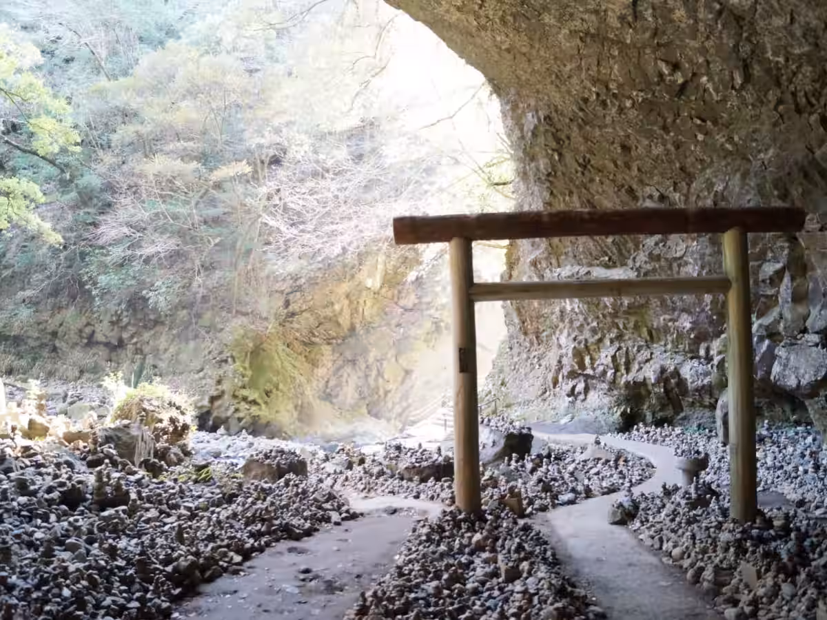 画像7