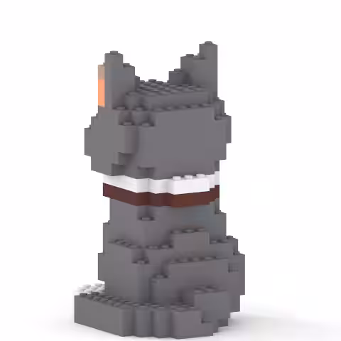 画像7