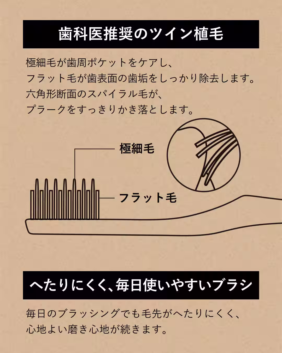 画像15