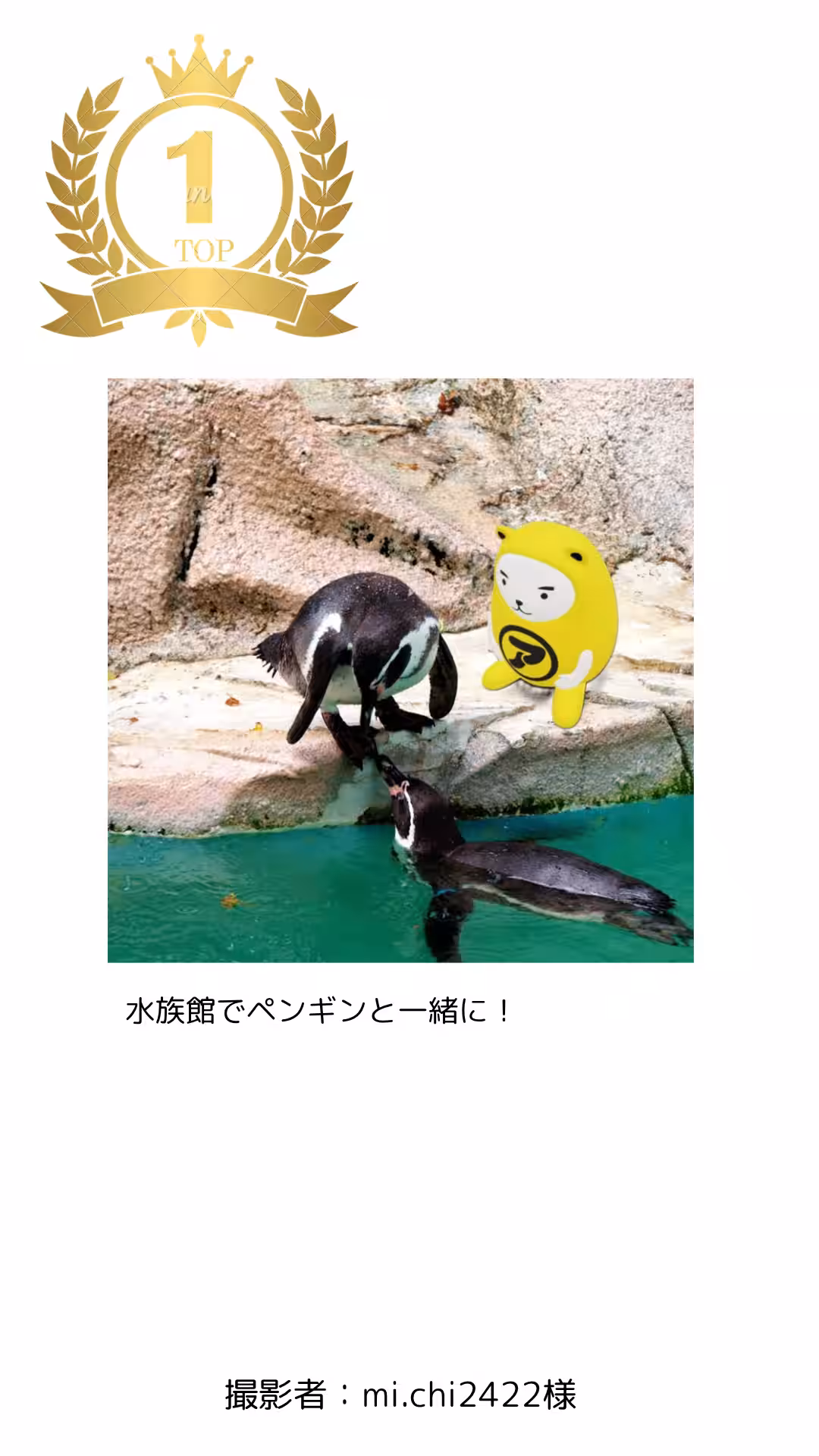 画像9