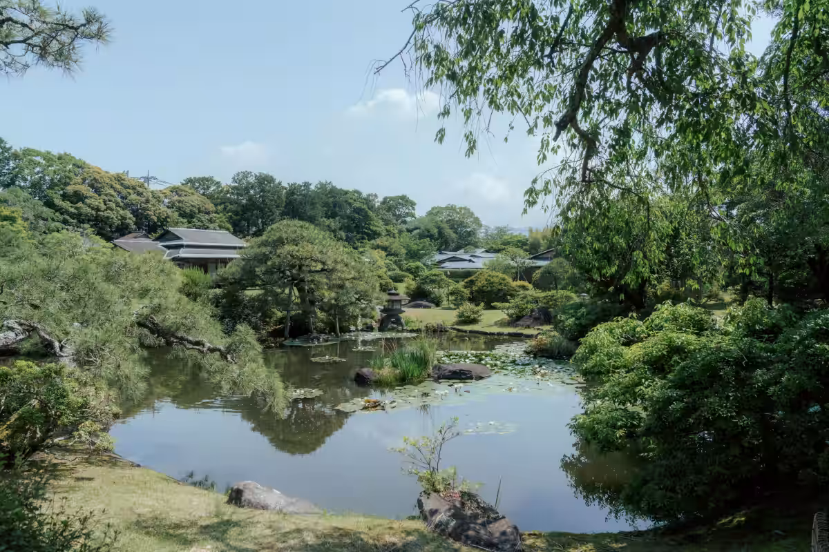 画像7