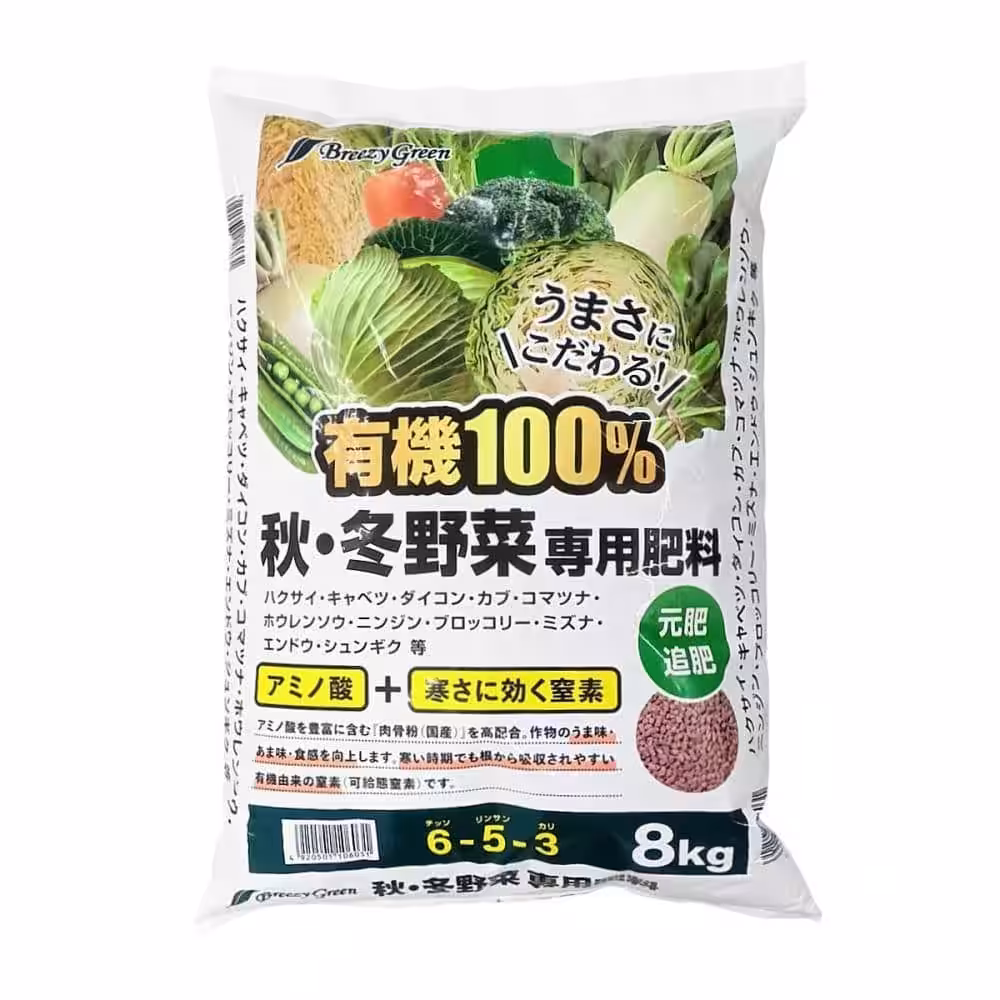 画像5