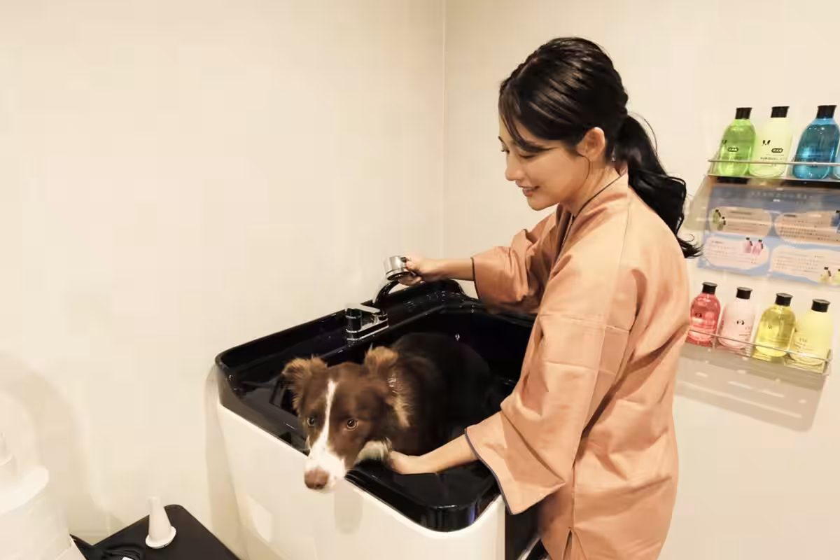 画像10
