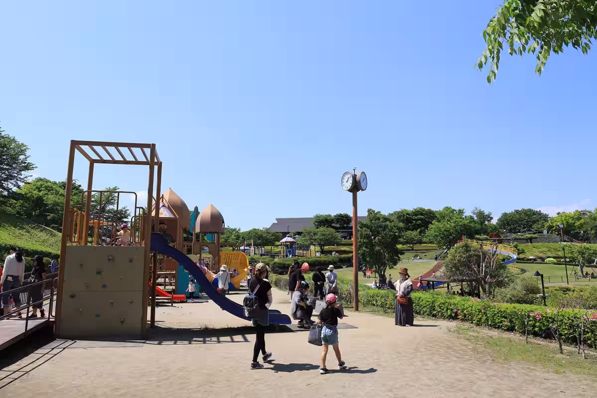 画像7