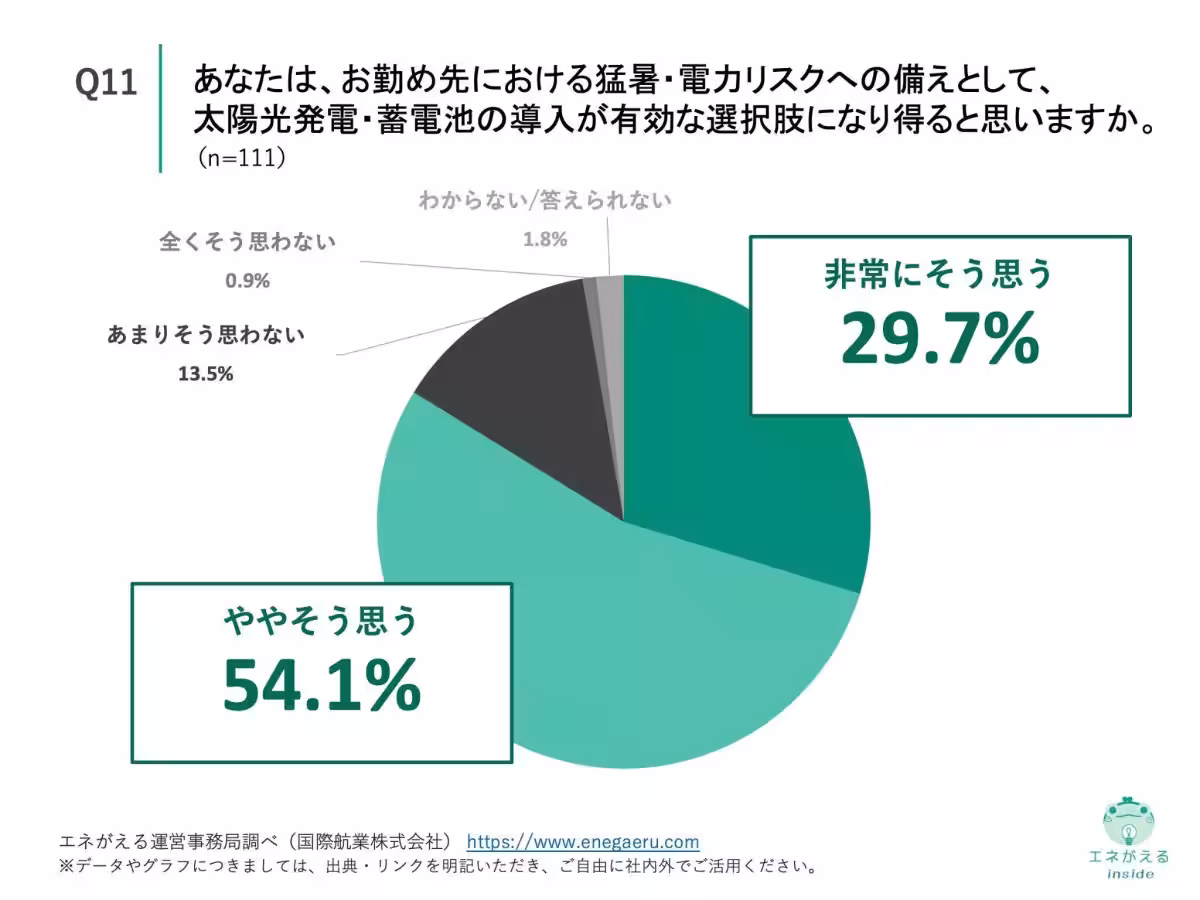 画像12