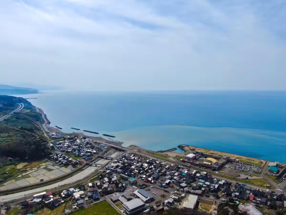 画像24