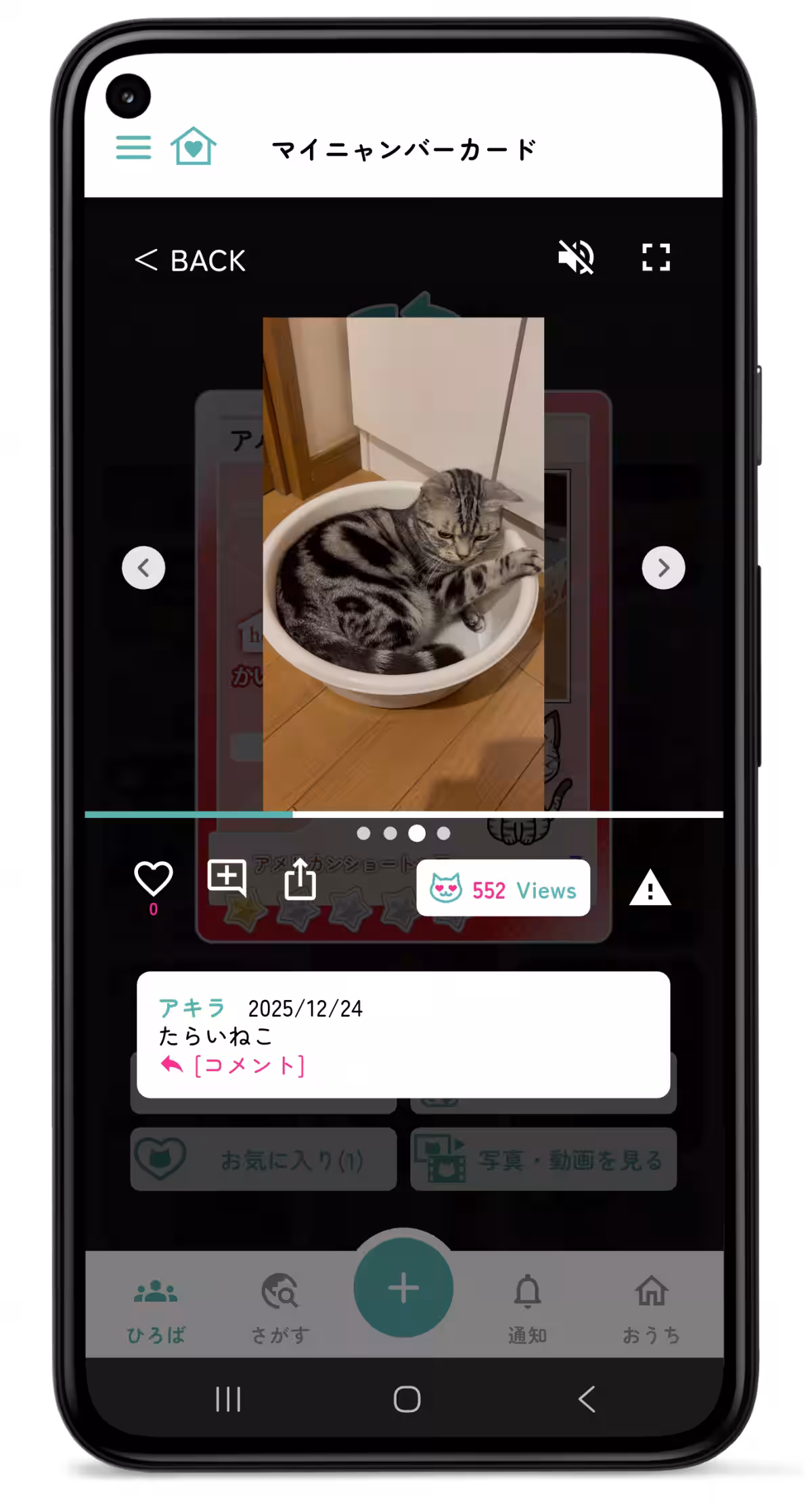 画像11