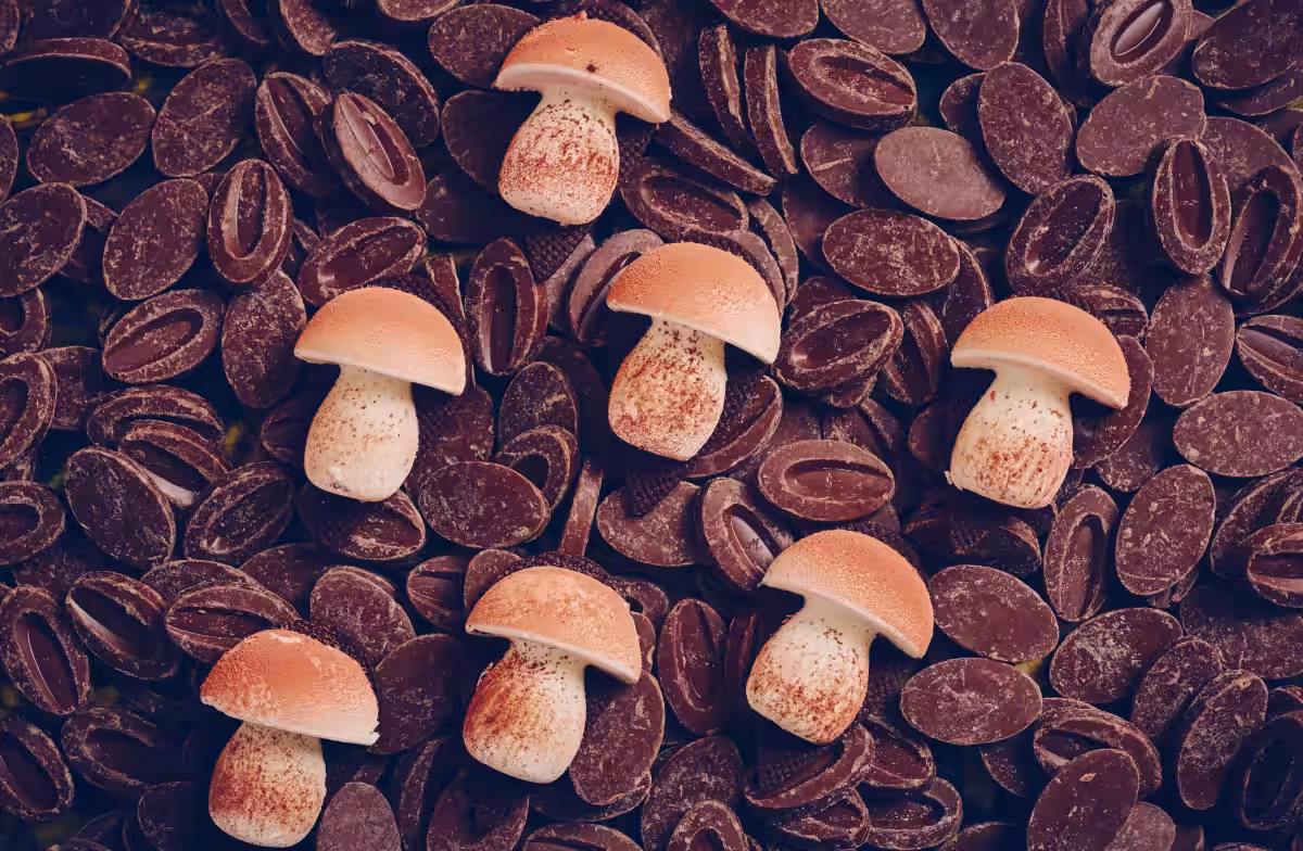 画像9