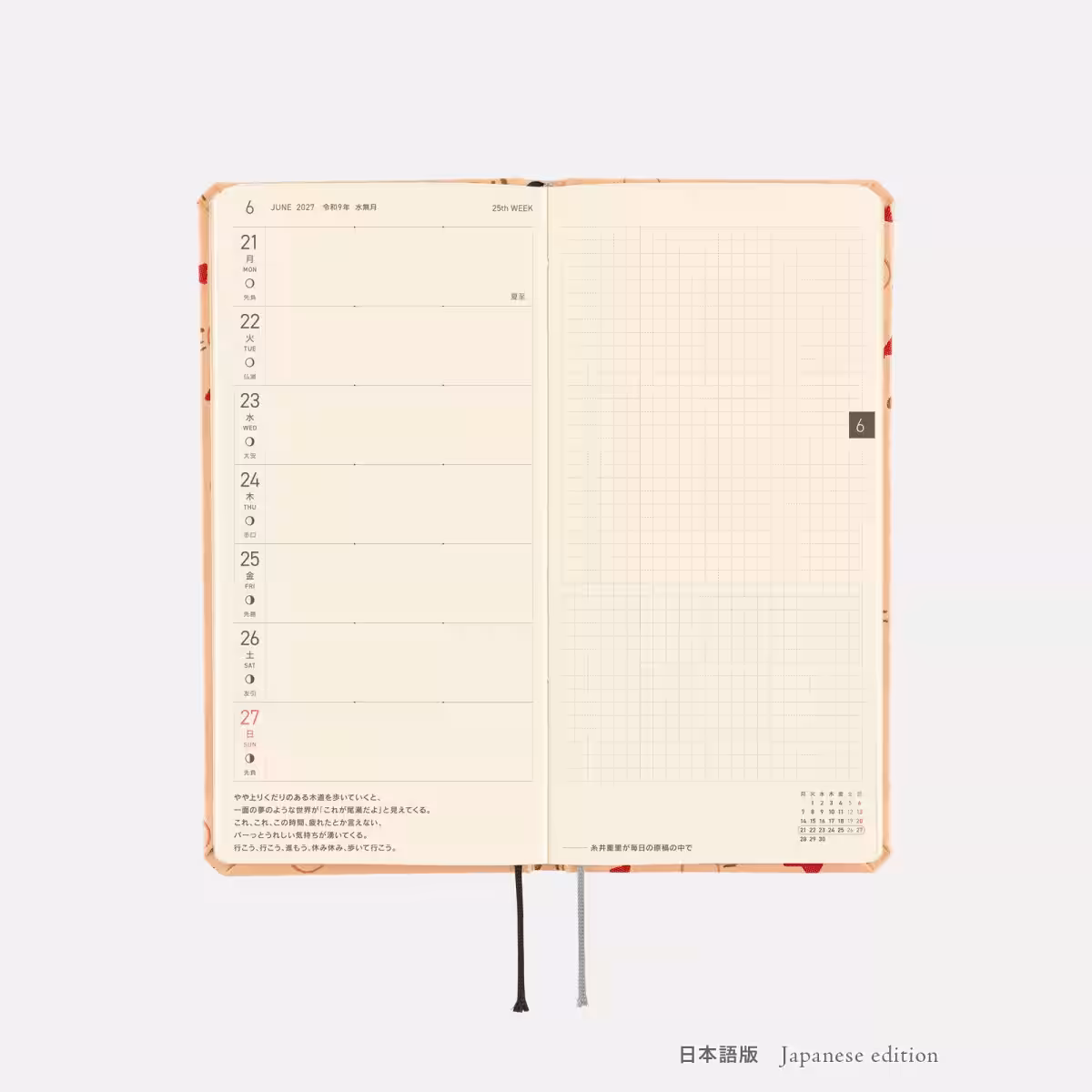画像7