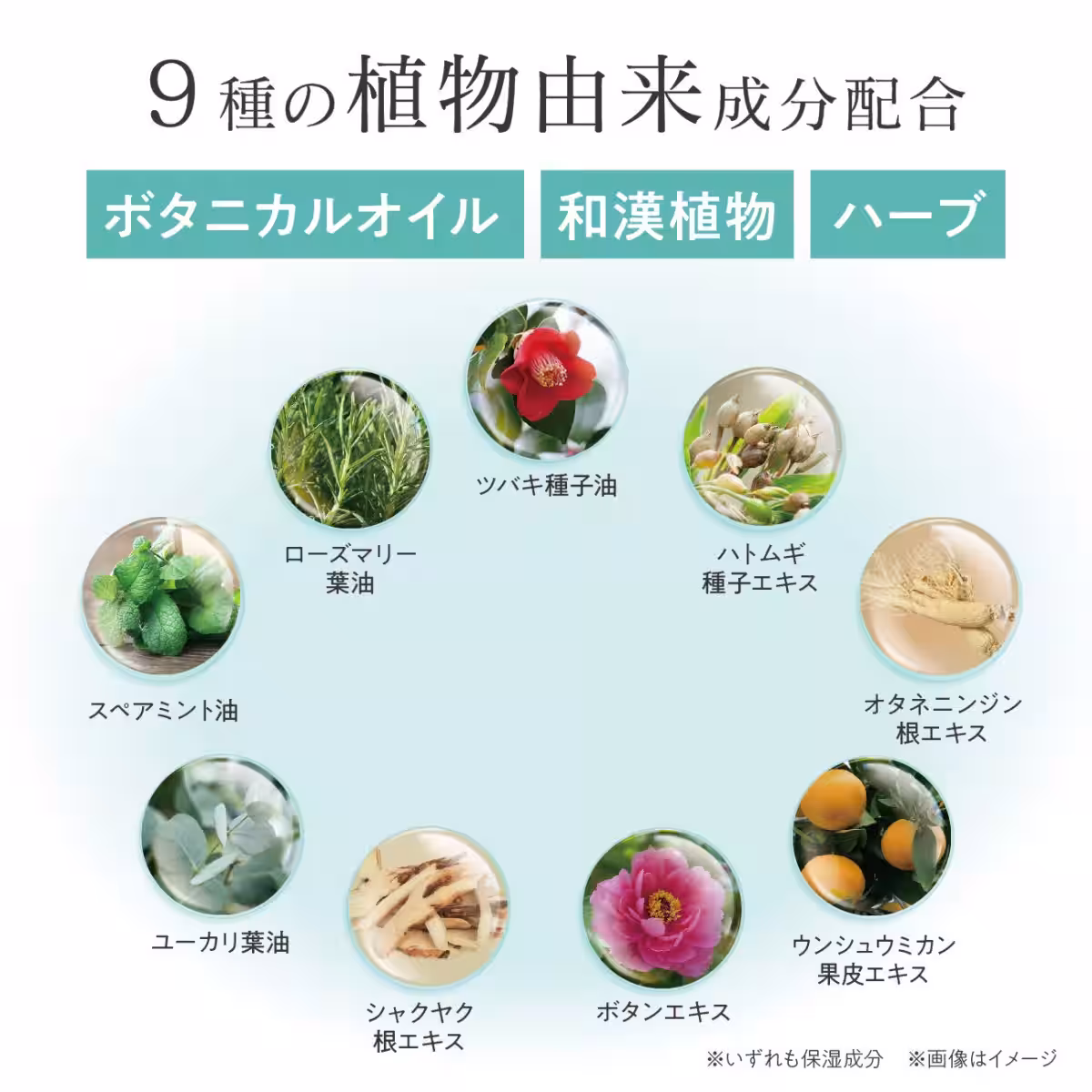 画像15