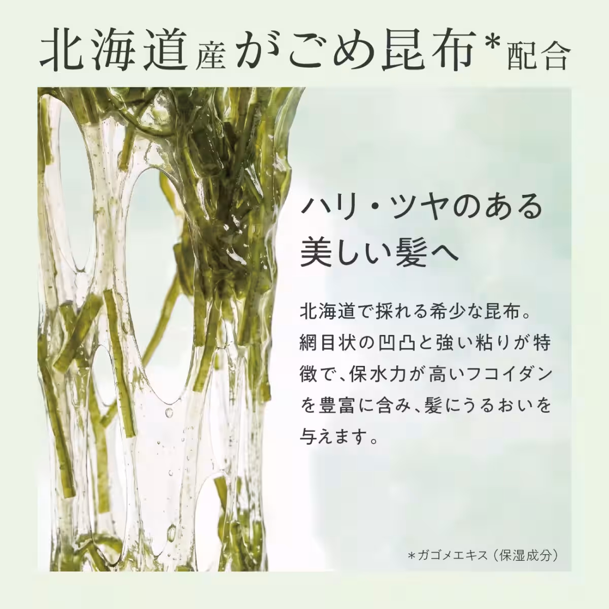 画像12