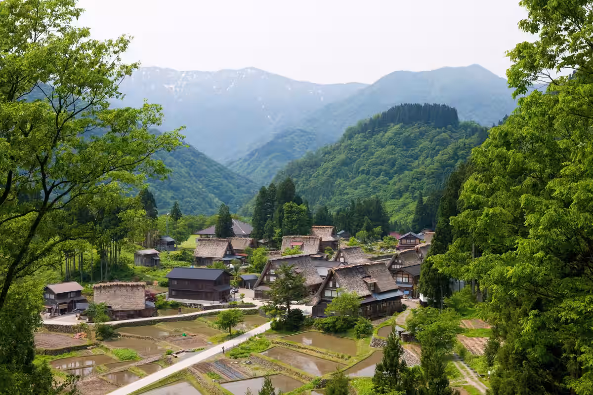 画像9