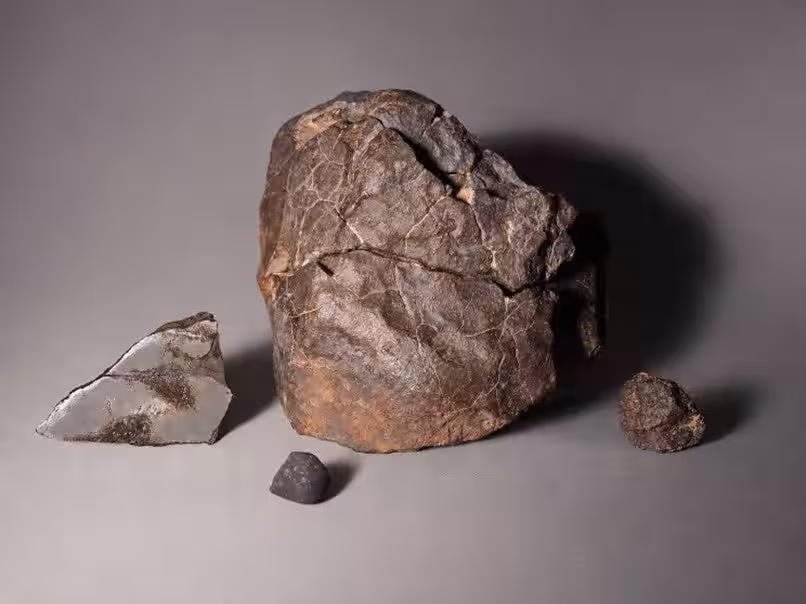 画像8