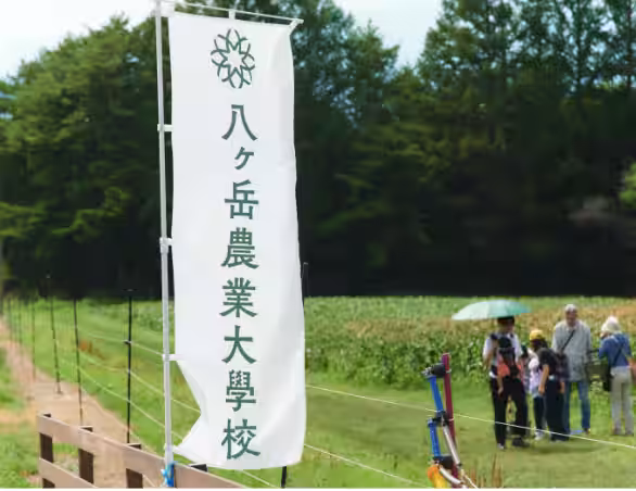 画像12