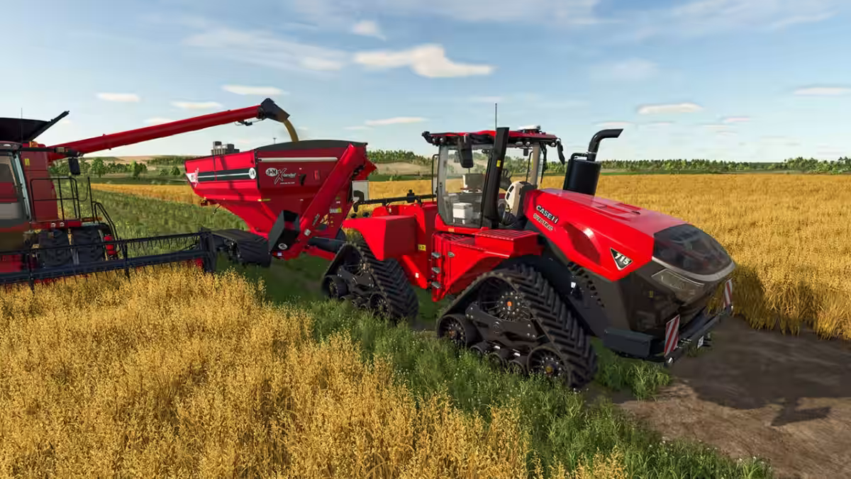 画像13