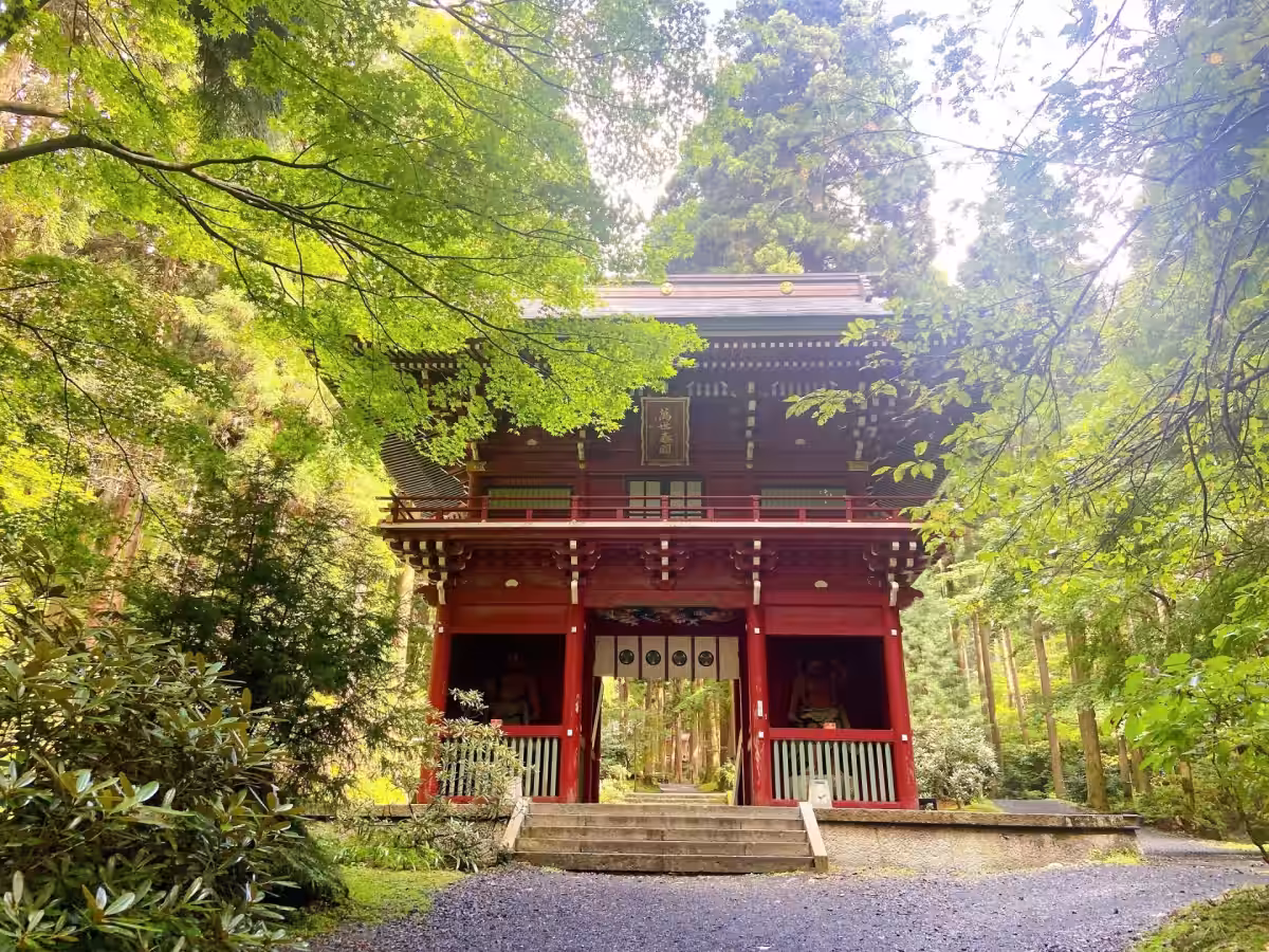 画像8