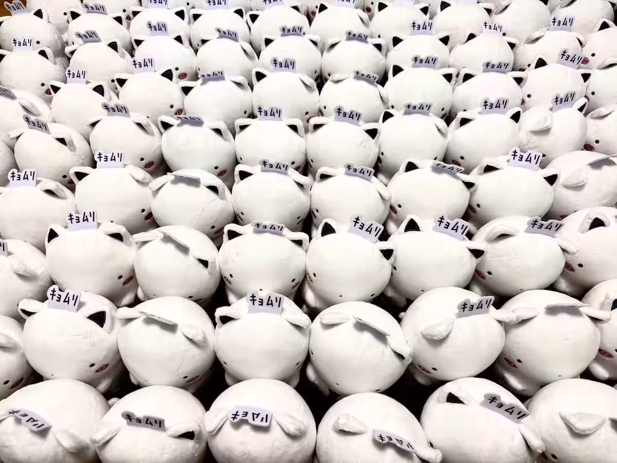 画像4