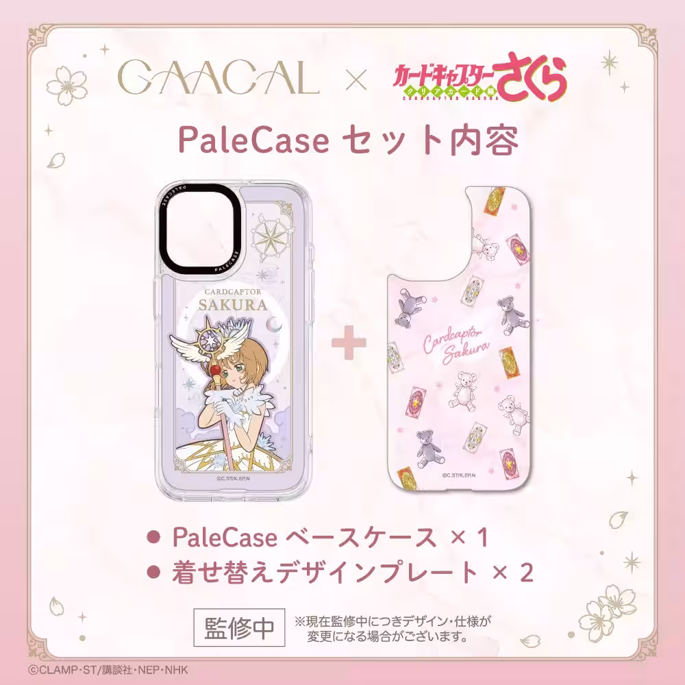 画像7