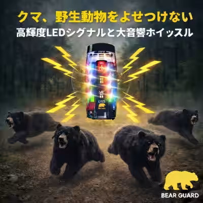 画像11